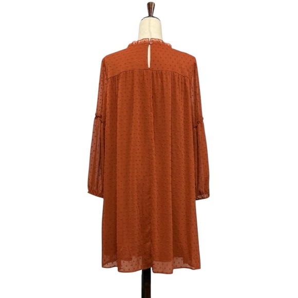 NWT Linda Anderson Crochet Trim Pull Sleeve Swiss Dot Dress Rust Size L - Picture 6 of 11